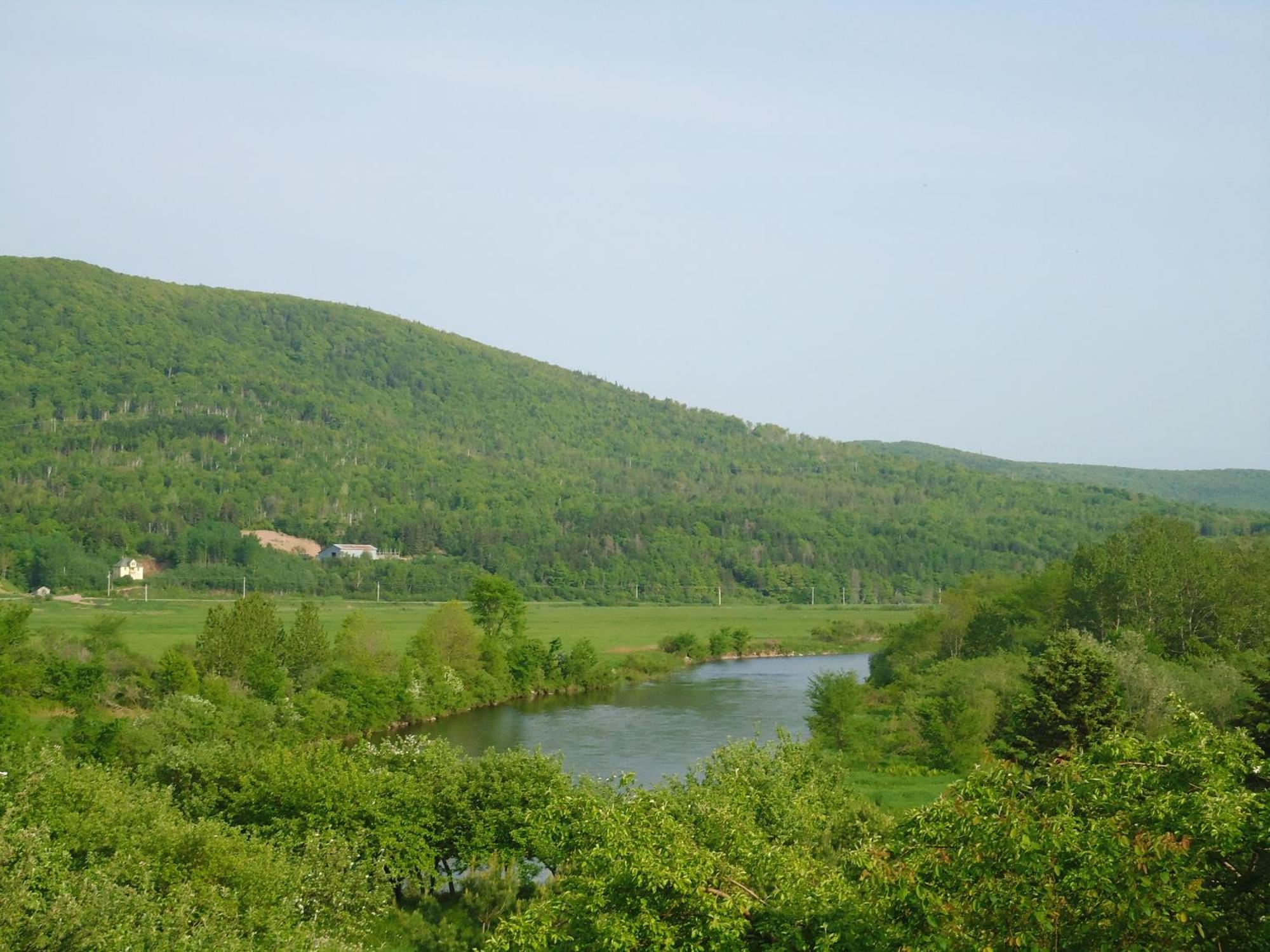Cajun Cedar Log Cottages Margaree Forks Exterior photo