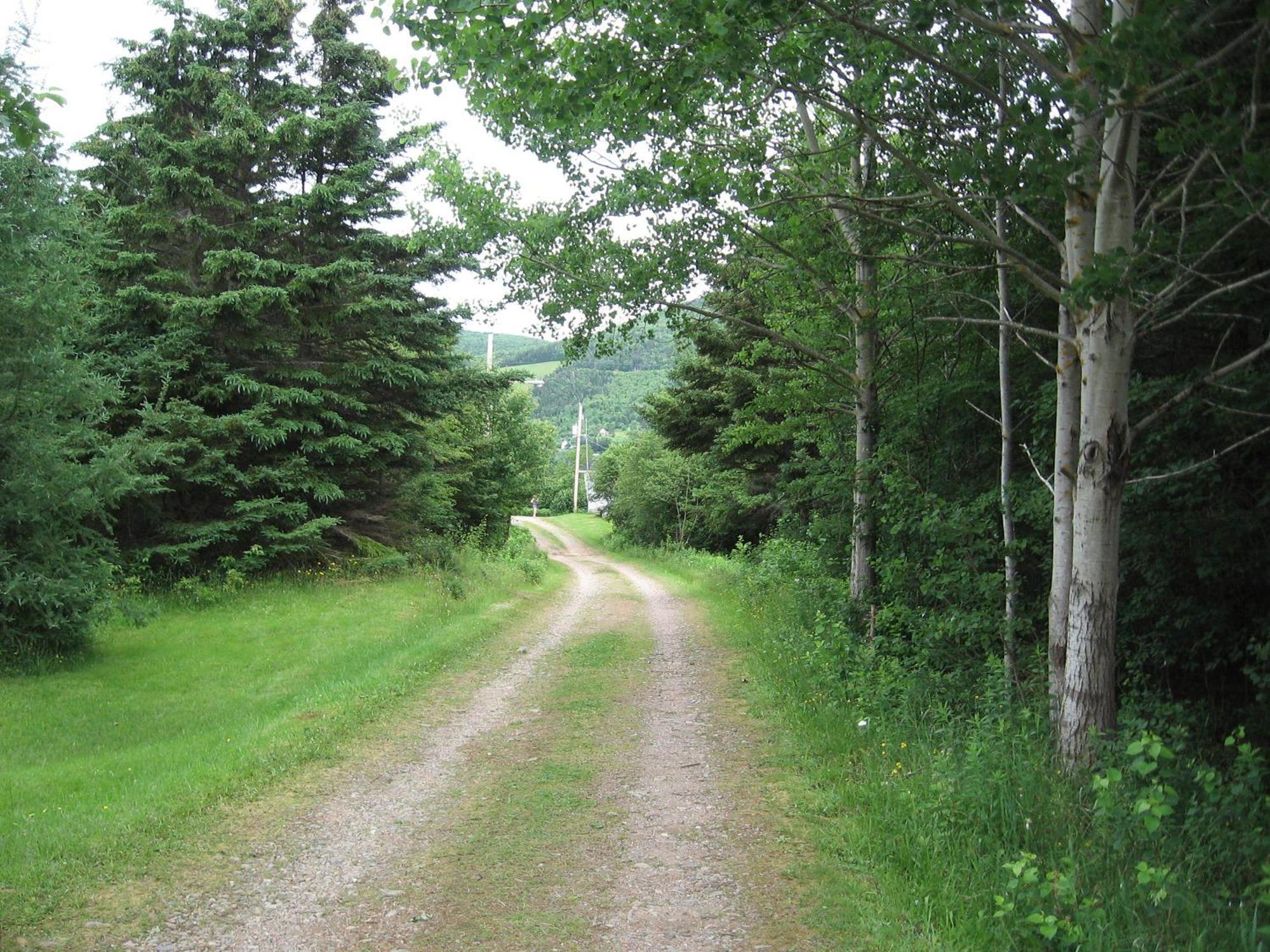 Cajun Cedar Log Cottages Margaree Forks Exterior photo