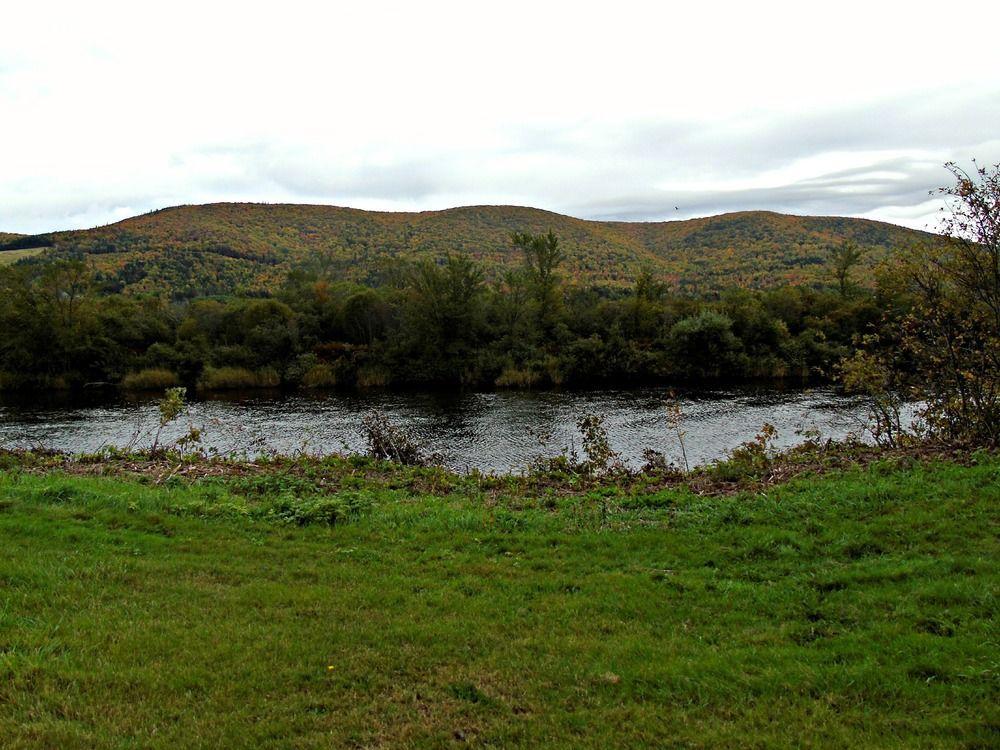 Cajun Cedar Log Cottages Margaree Forks Exterior photo