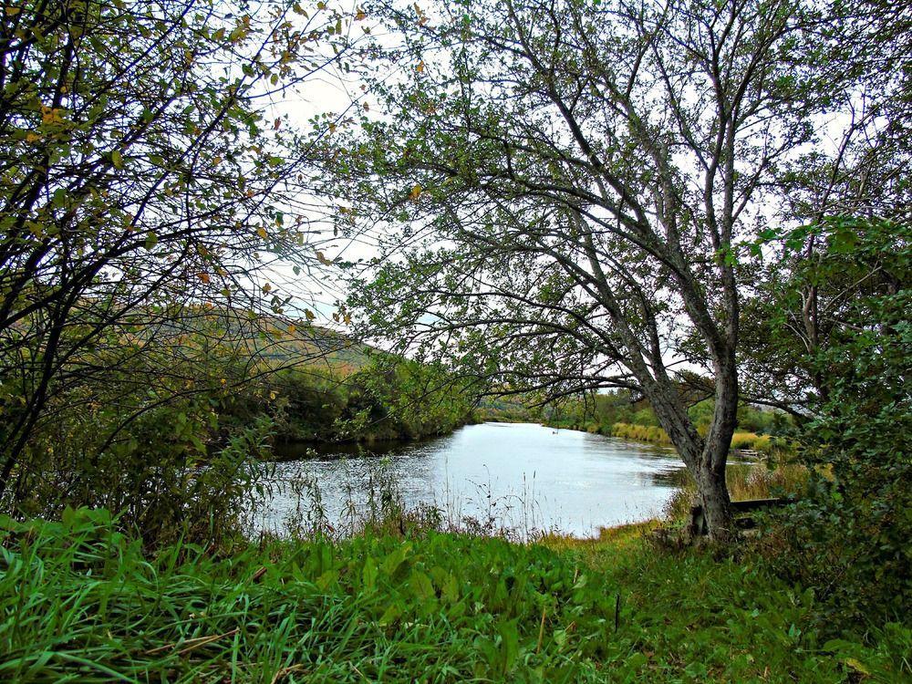 Cajun Cedar Log Cottages Margaree Forks Exterior photo