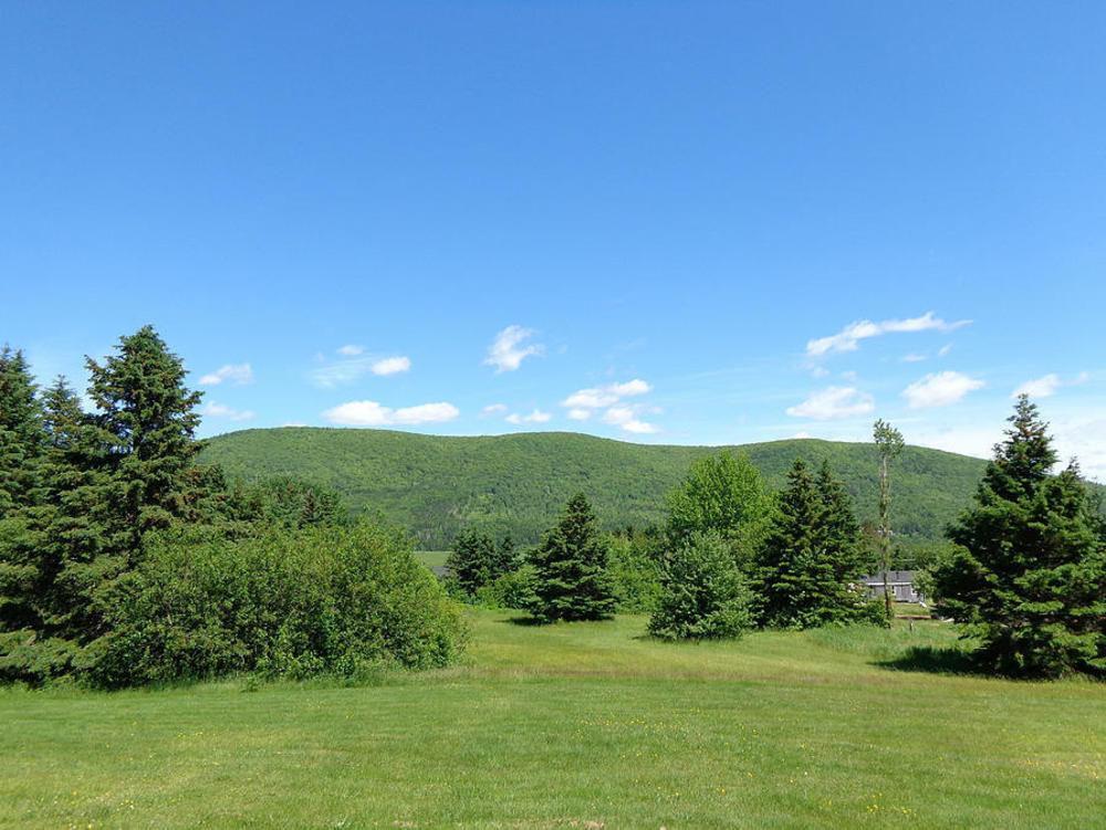 Cajun Cedar Log Cottages Margaree Forks Exterior photo
