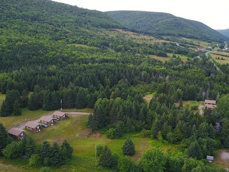 Cajun Cedar Log Cottages Margaree Forks Exterior photo