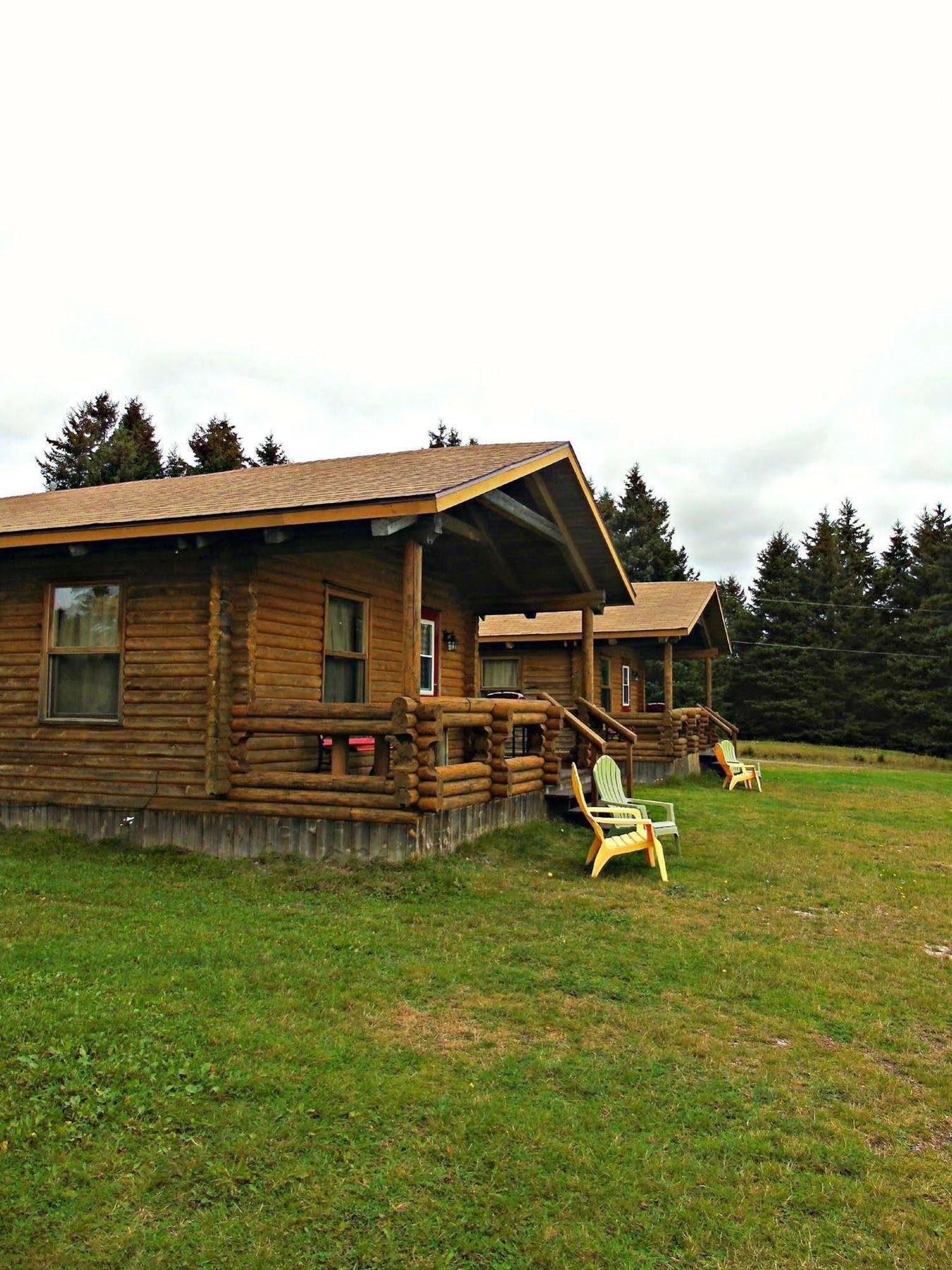 Cajun Cedar Log Cottages Margaree Forks Exterior photo