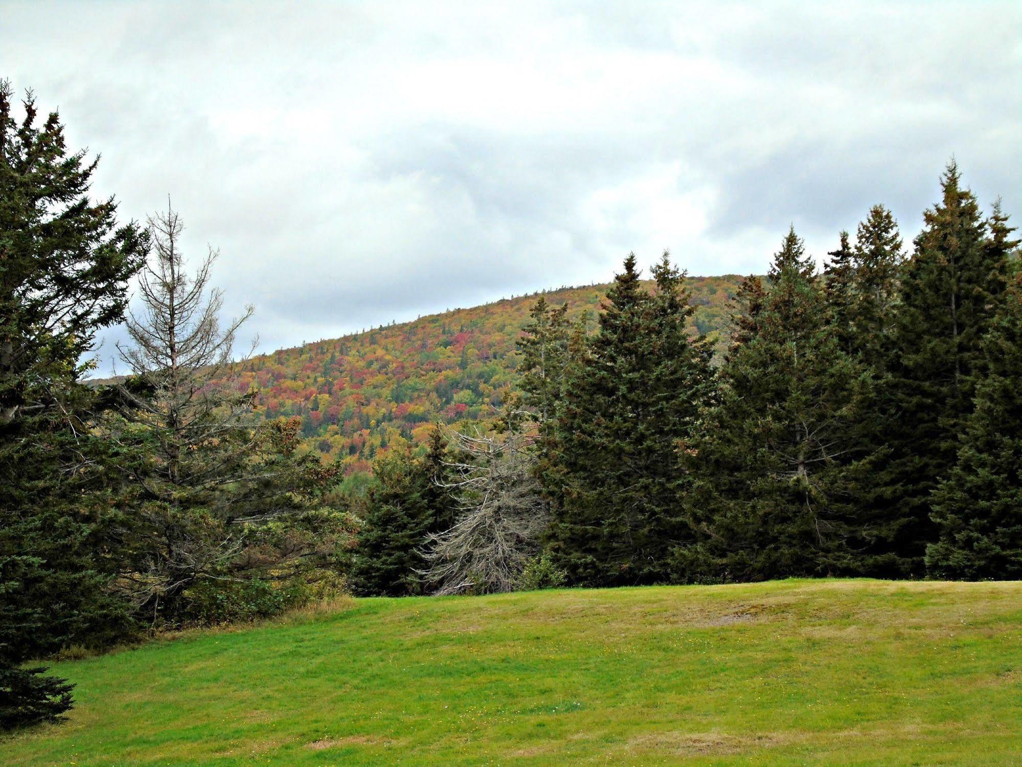 Cajun Cedar Log Cottages Margaree Forks Exterior photo